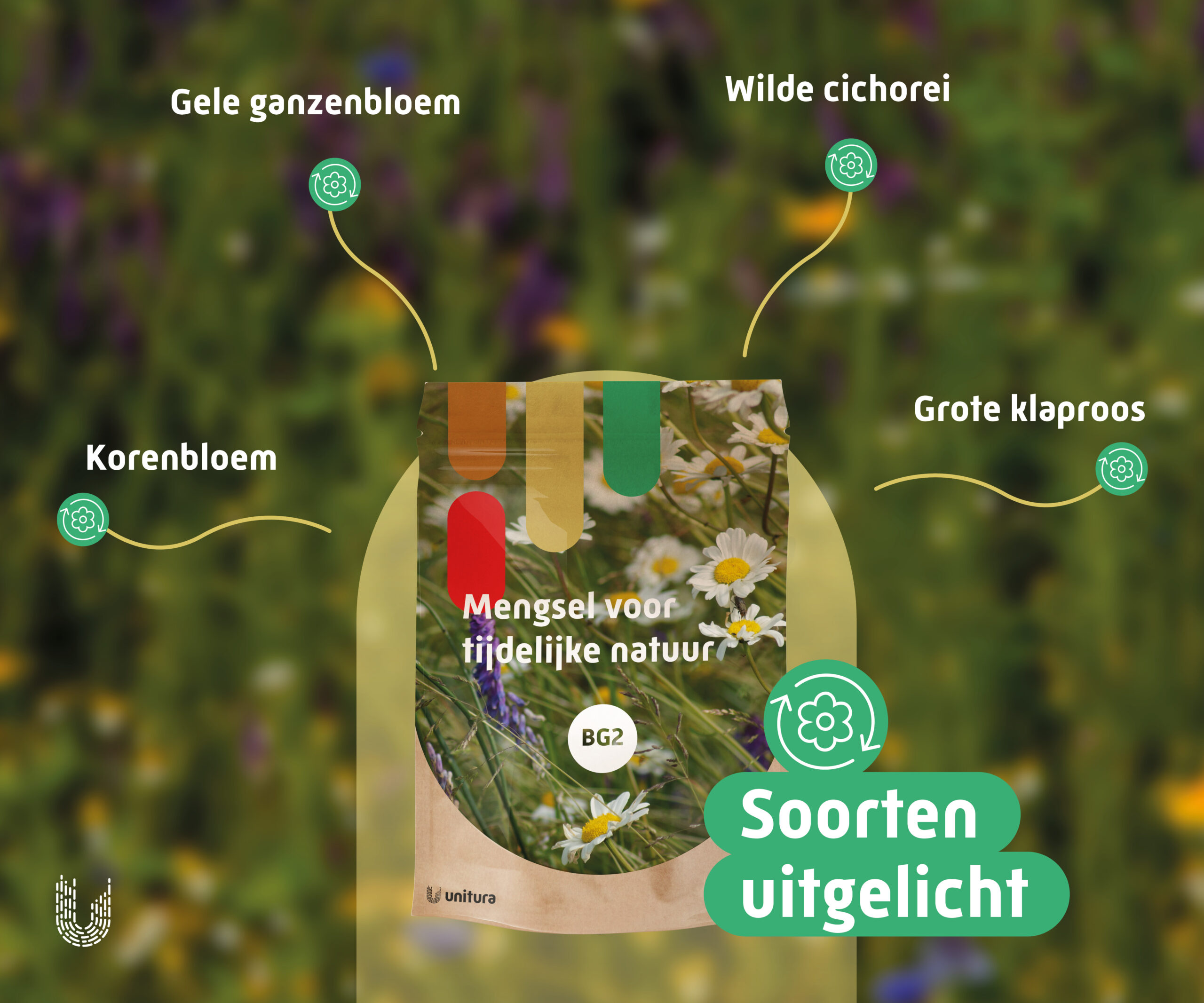 BG2 | Mengsel voor tijdelijke natuur