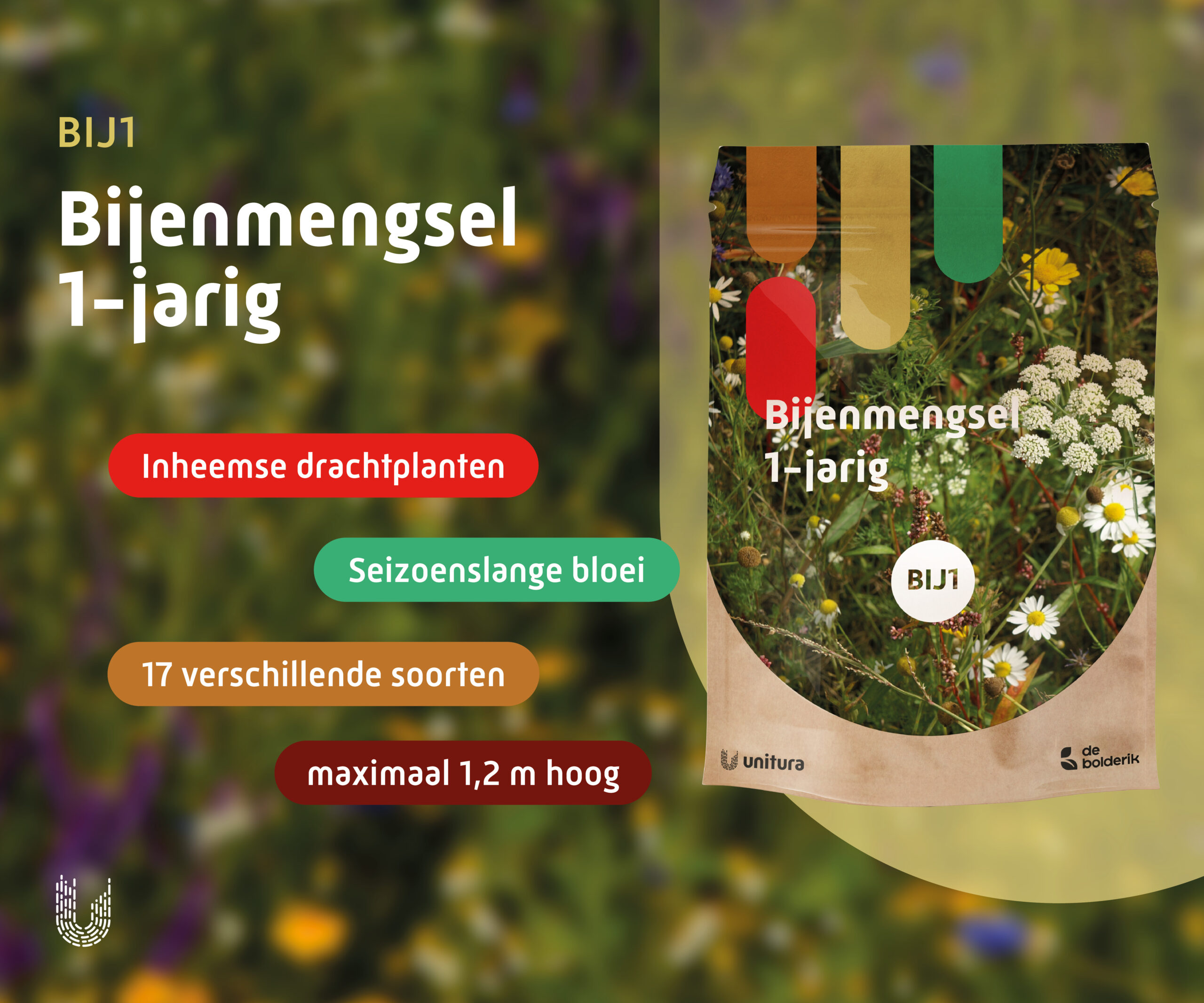 BIJ1 | Bijenmengsel 1-jarig