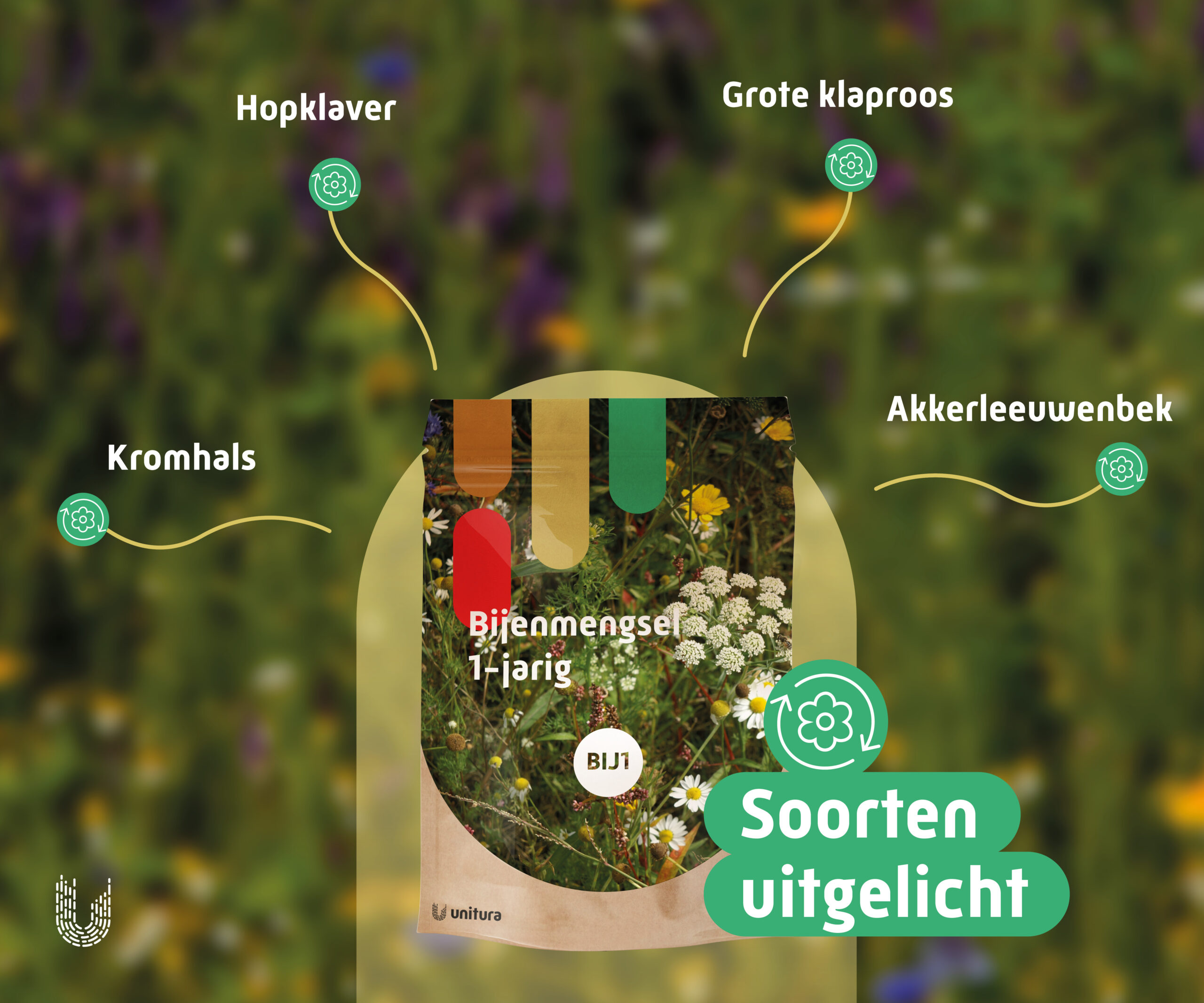 BIJ1 | Bijenmengsel 1-jarig