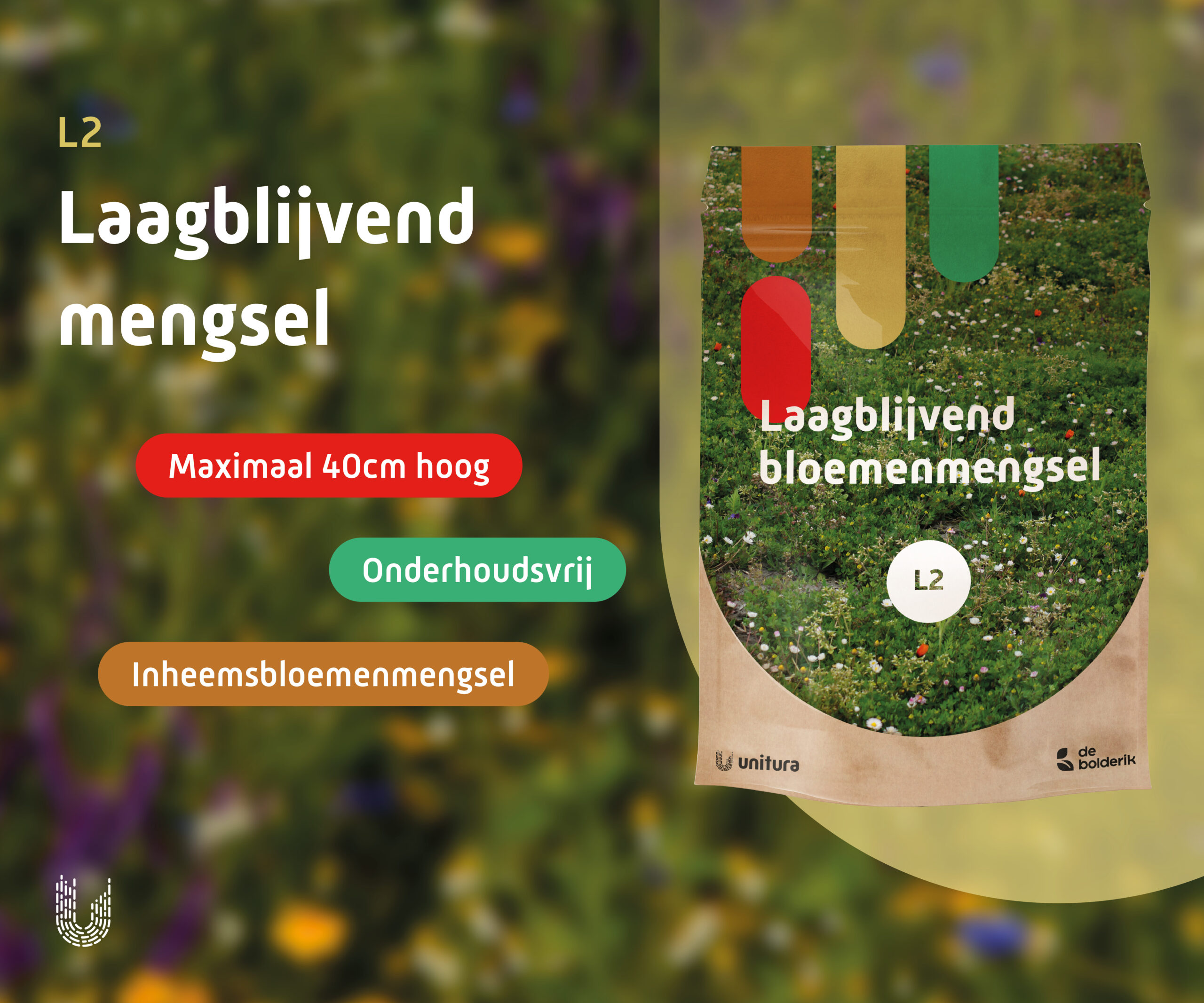 L2 | Laagblijvend bloemrijk mengsel