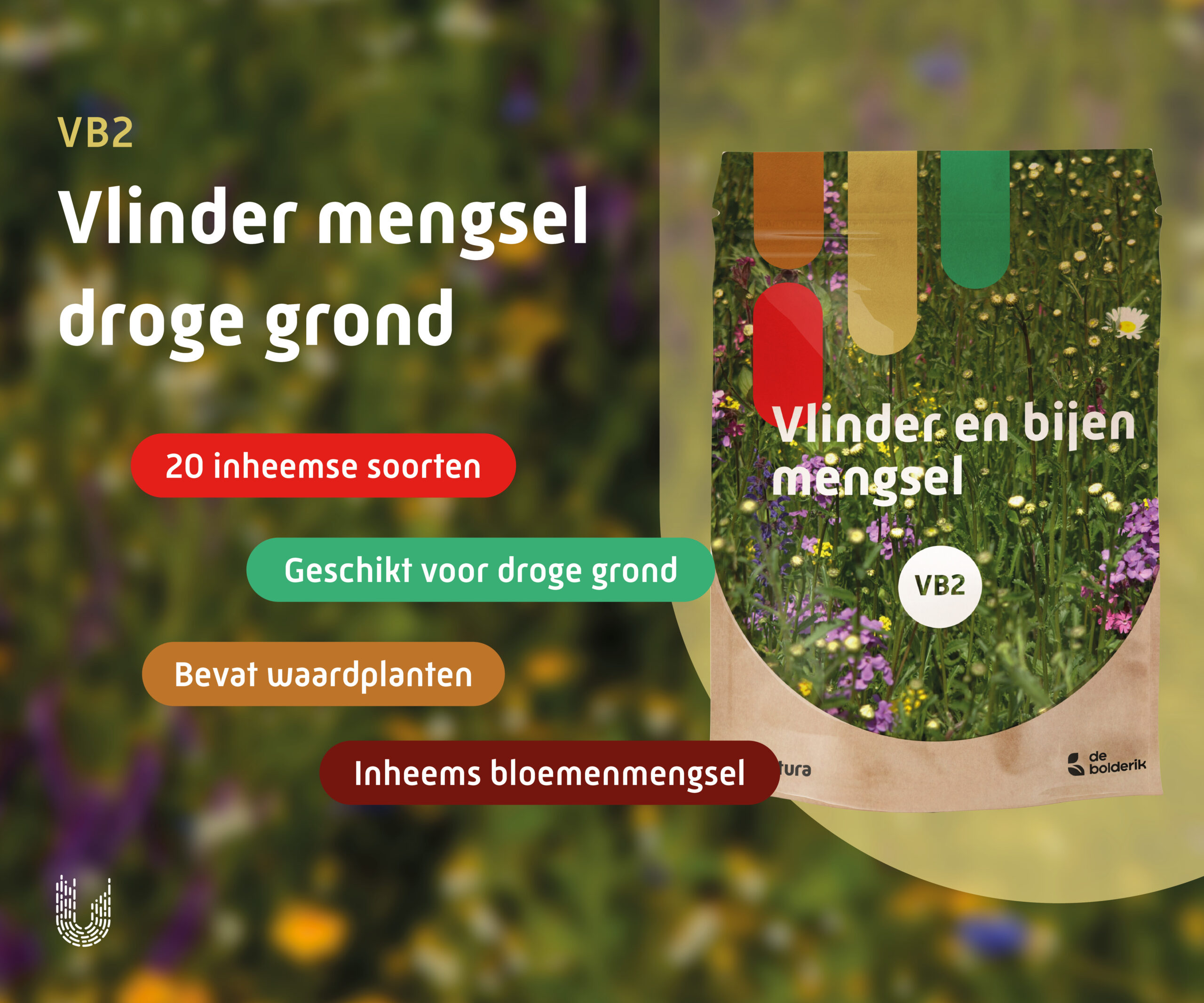 VB2 | Vlinder- en bijenmengsel droge grond