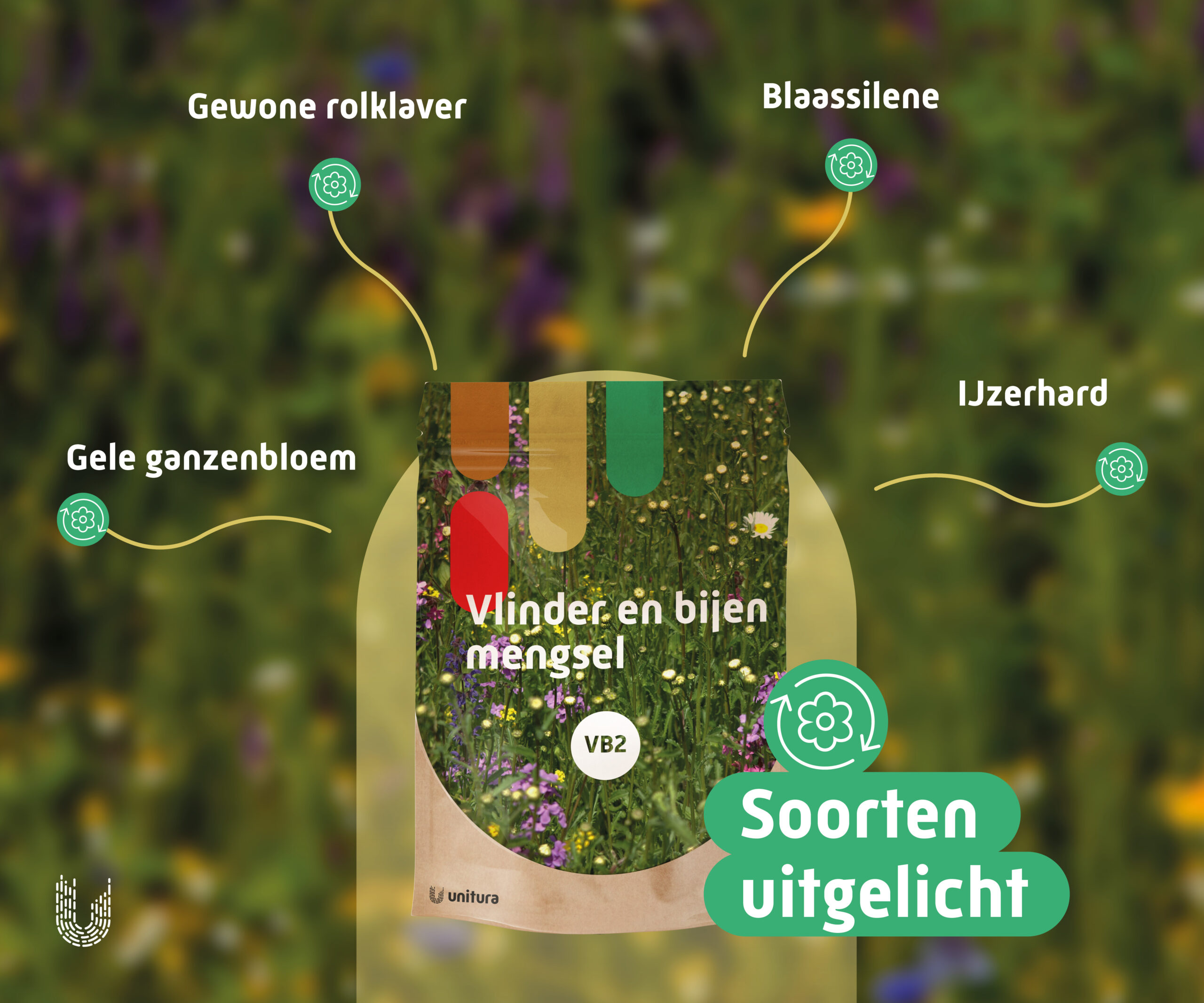 VB2 | Vlinder- en bijenmengsel droge grond