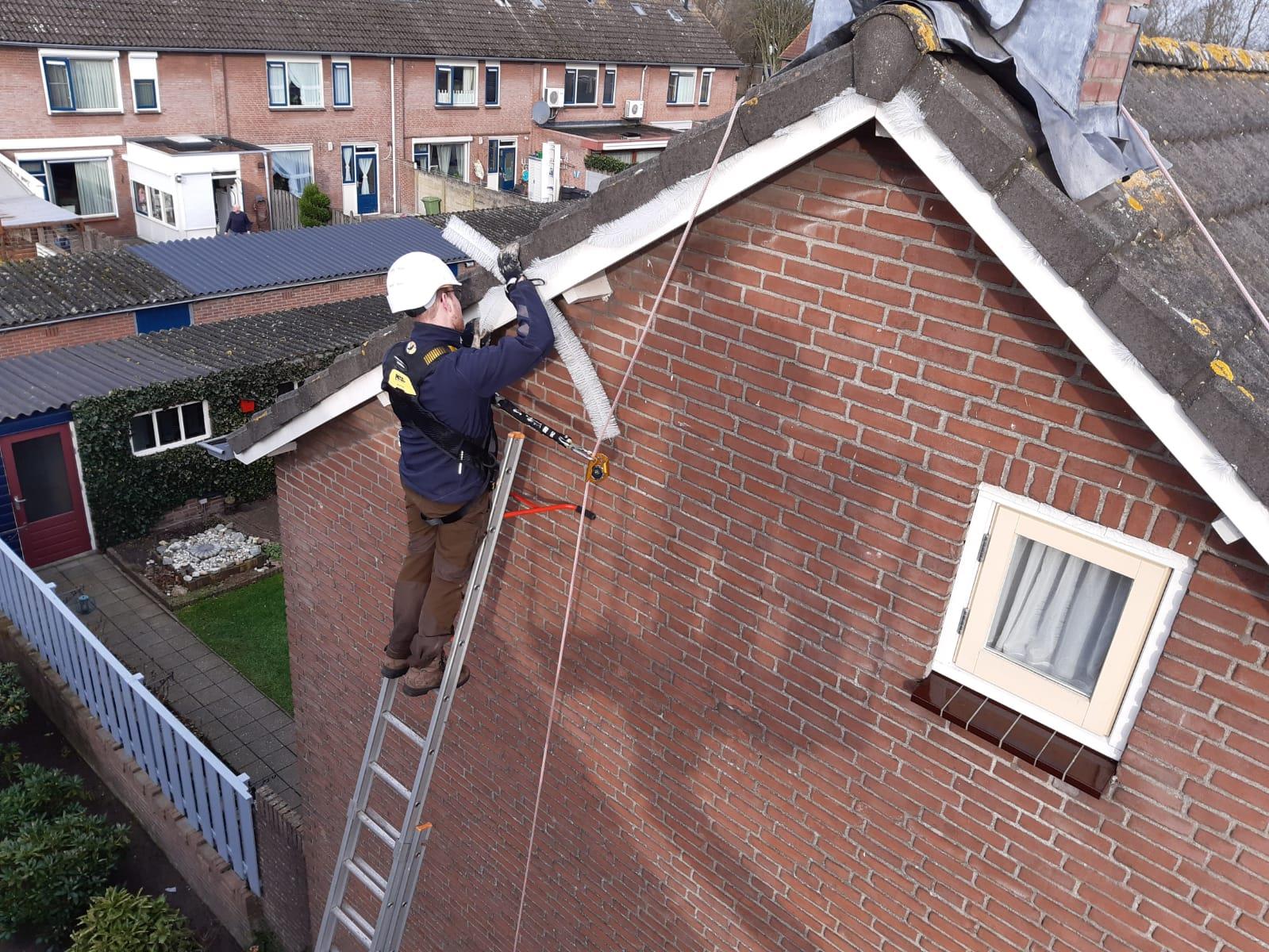 Woningen natuurvrij maken