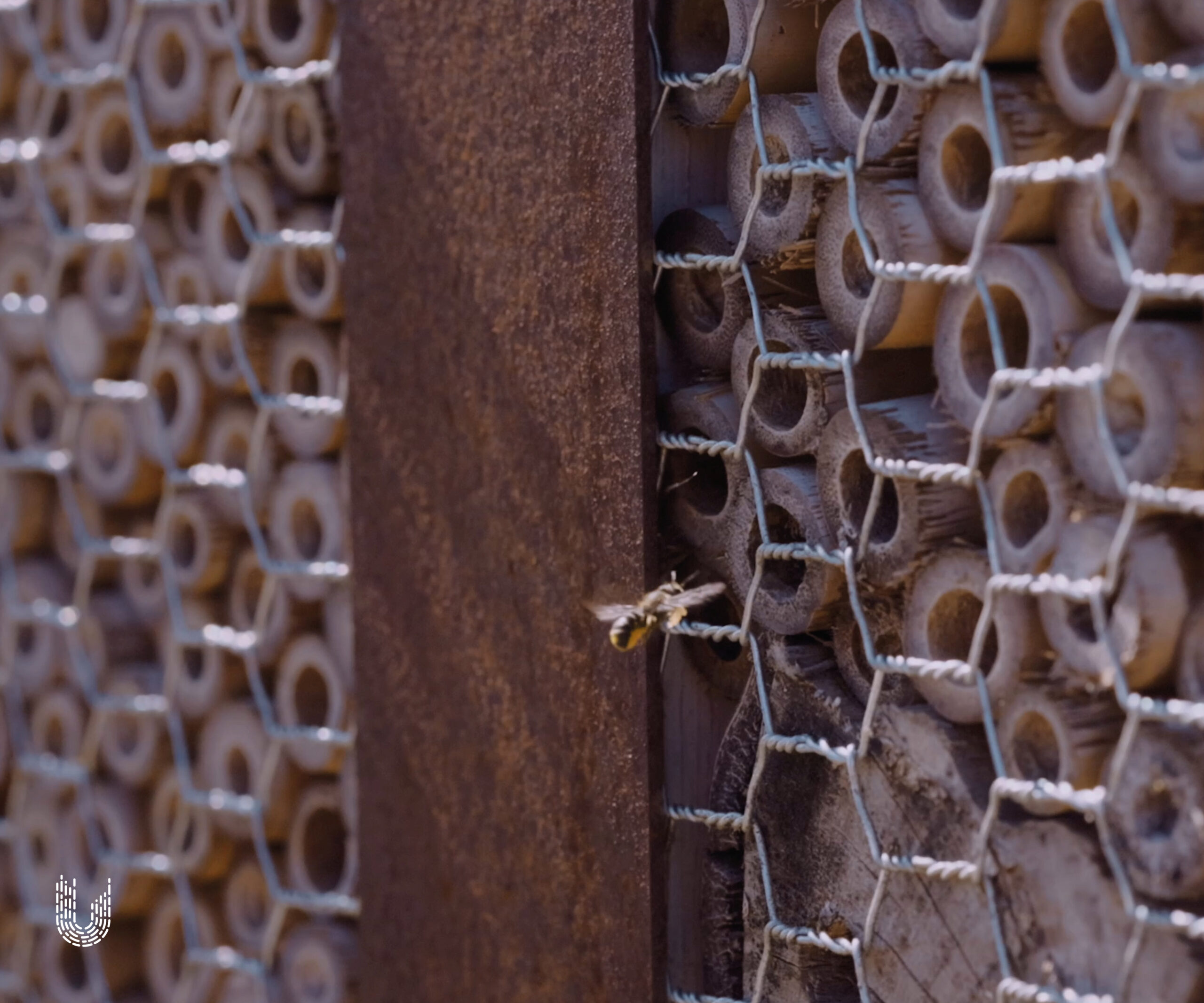 IHPL | Insectenhotel Pro Large