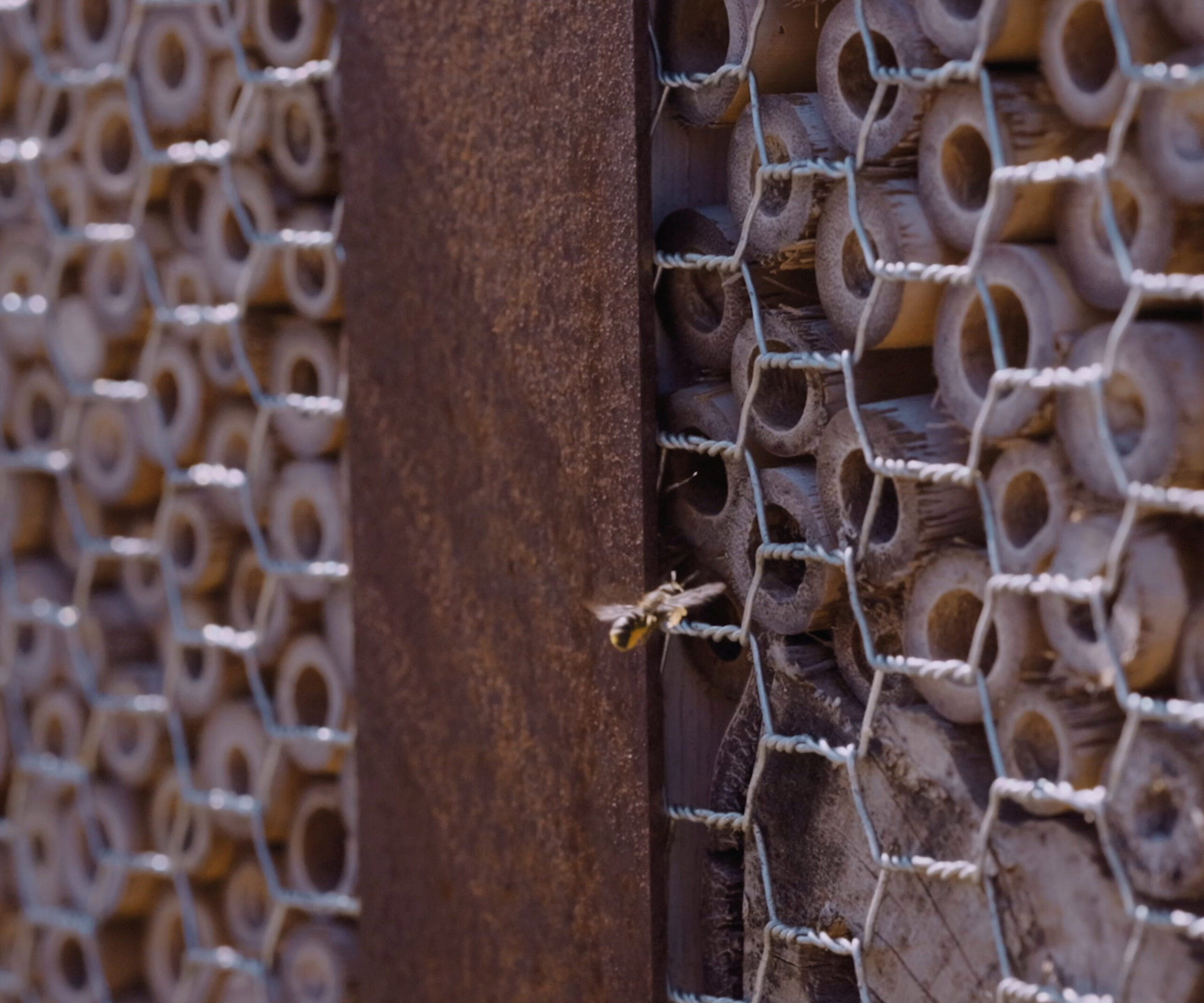 IHPS | Insectenhotel Pro Small