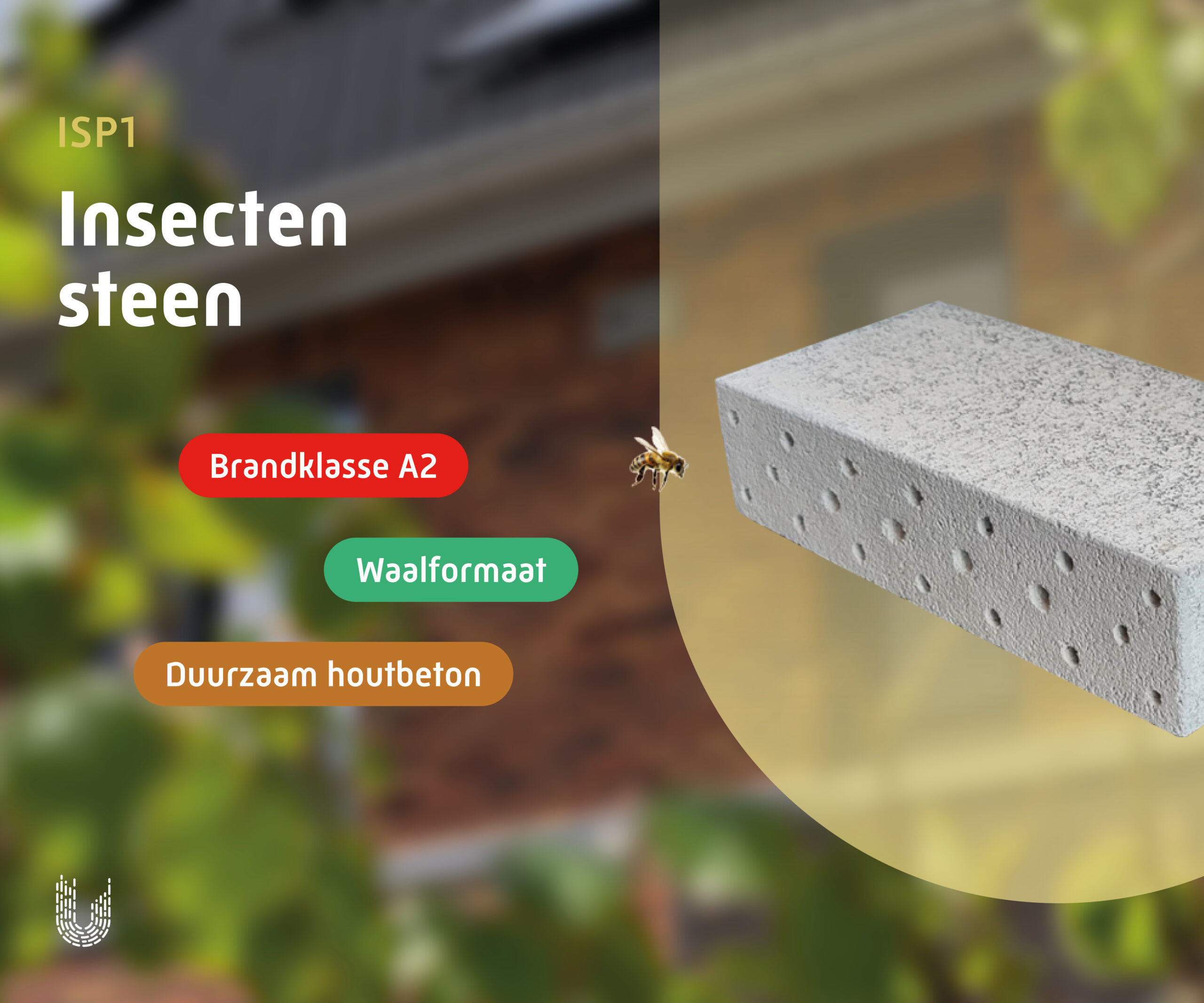 ISP1 | Insectensteen