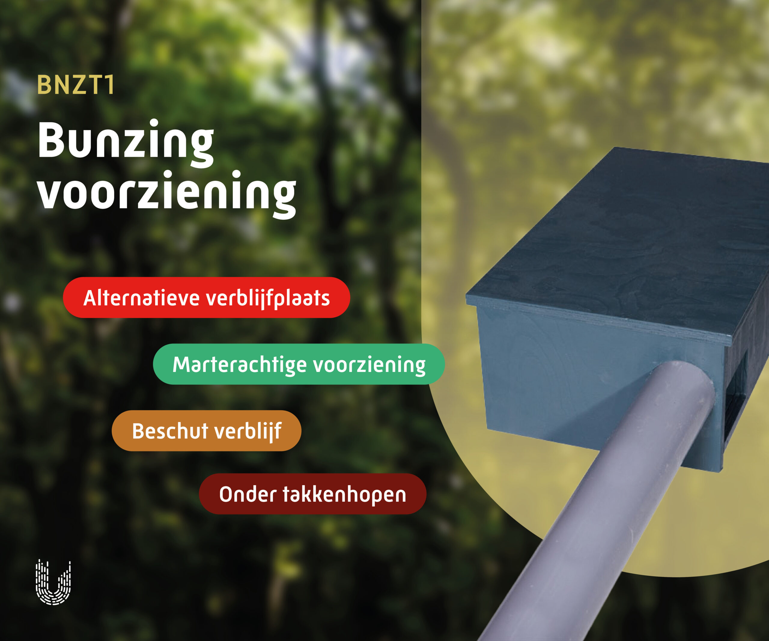 BNZT1 | Bunzingkast