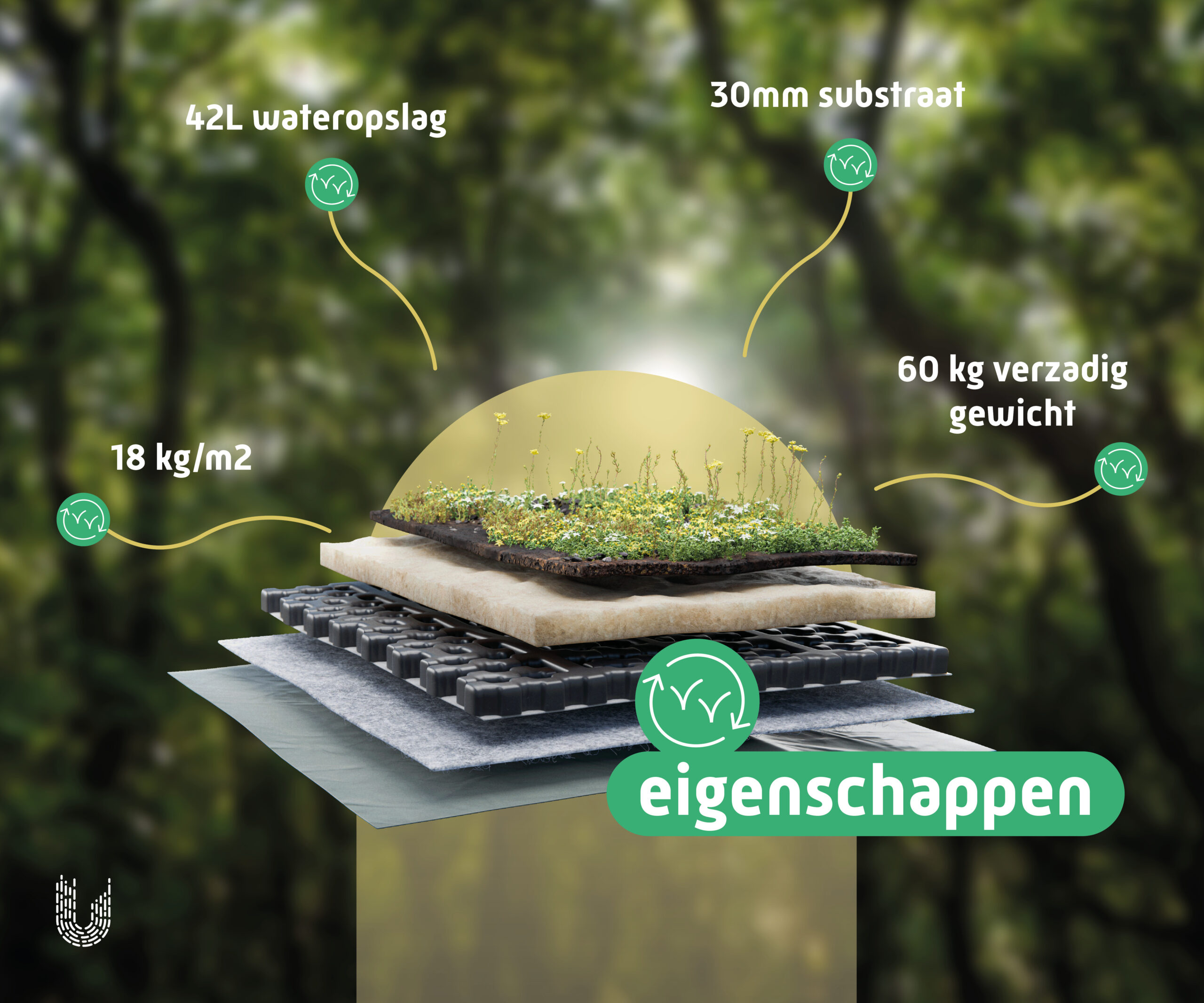 Lichtgewicht sedumdak