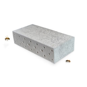 ISP1 | Insectensteen