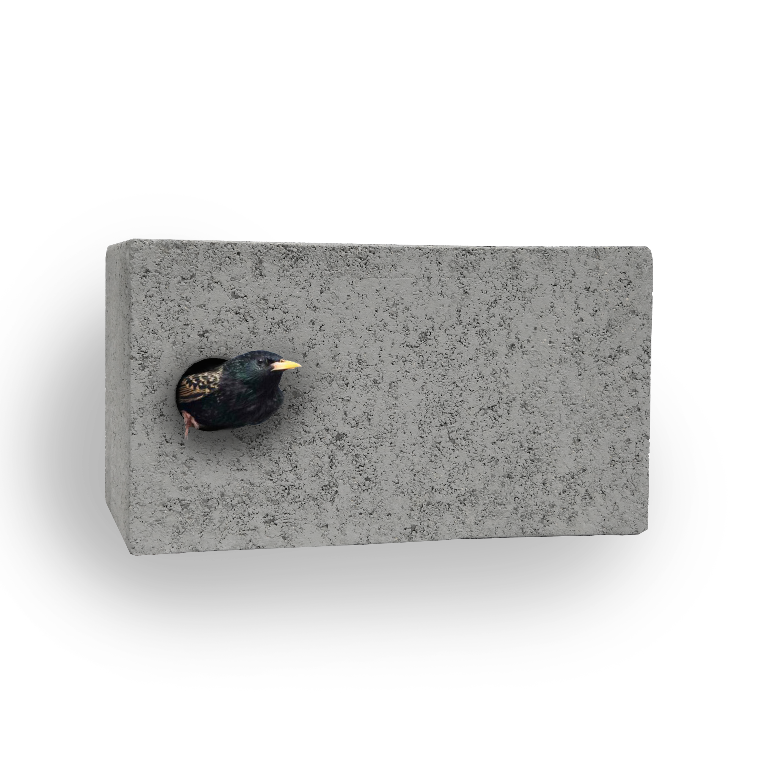 SPP1 | Spreeuwenkast