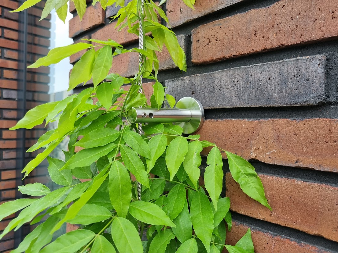 Wilde kamperfoelie combineren met blauwe regen op een RVS Climbers systeem