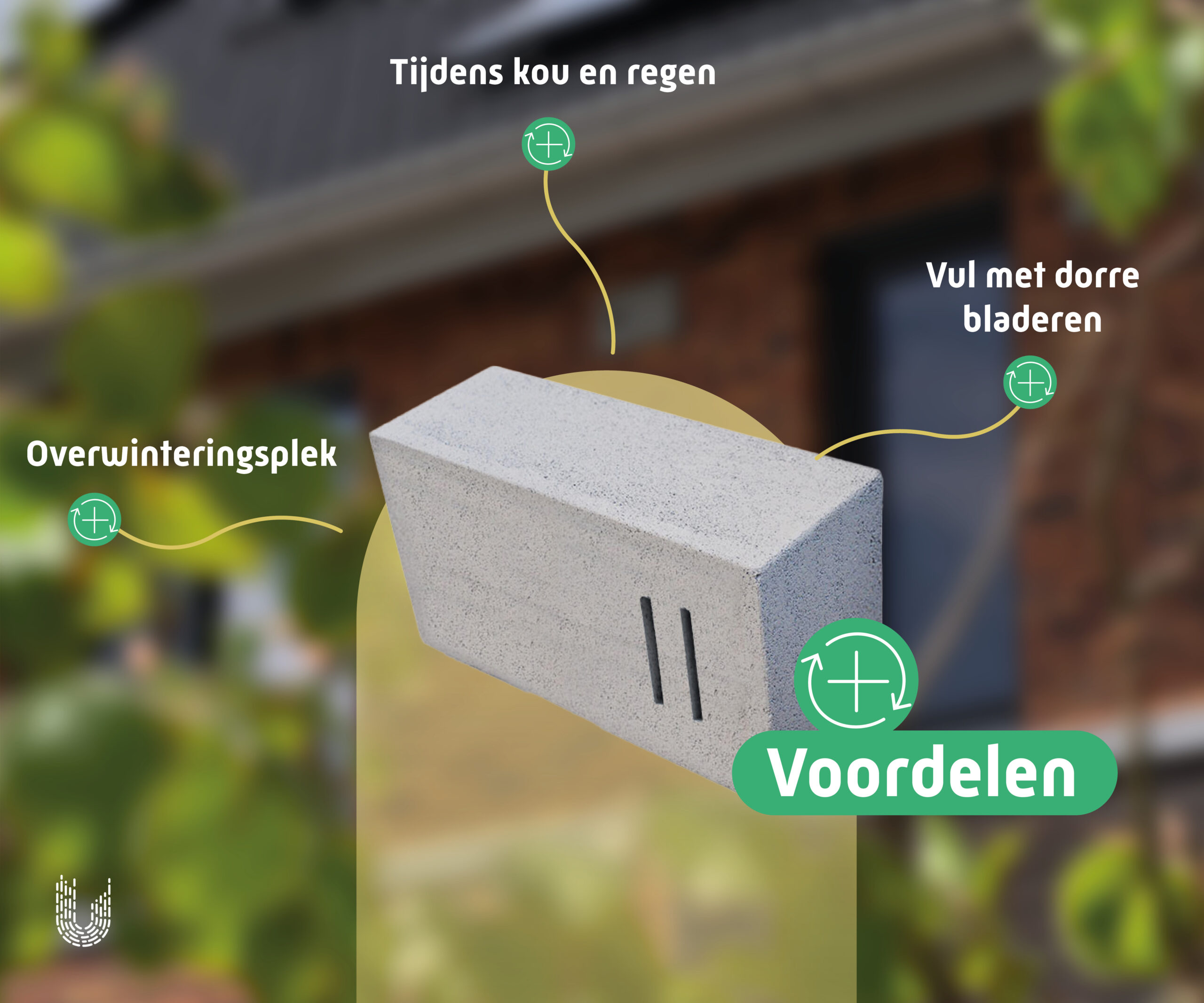 VLP1 | Vlinderkast