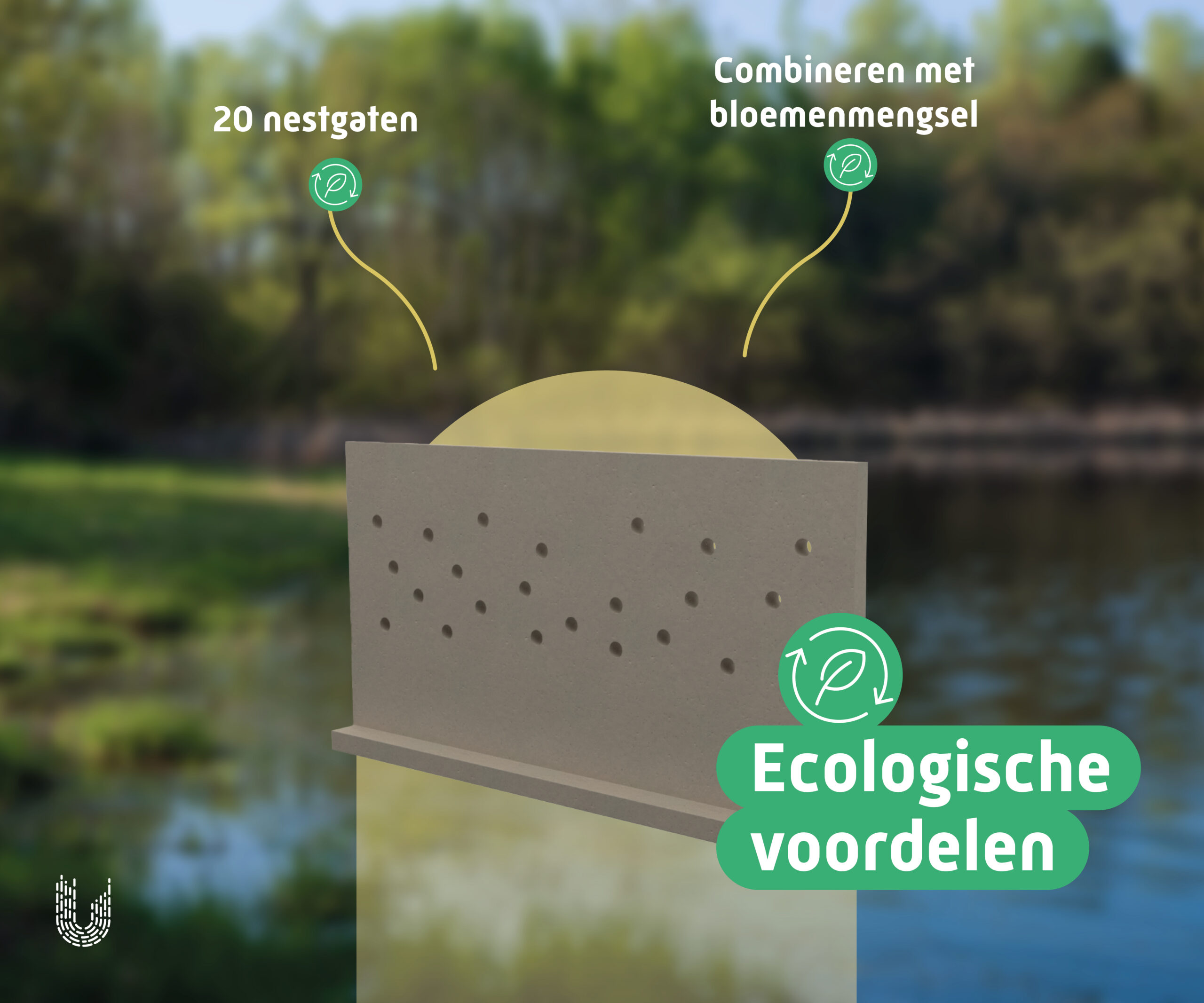 ZWW1 | Oeverzwaluwwand