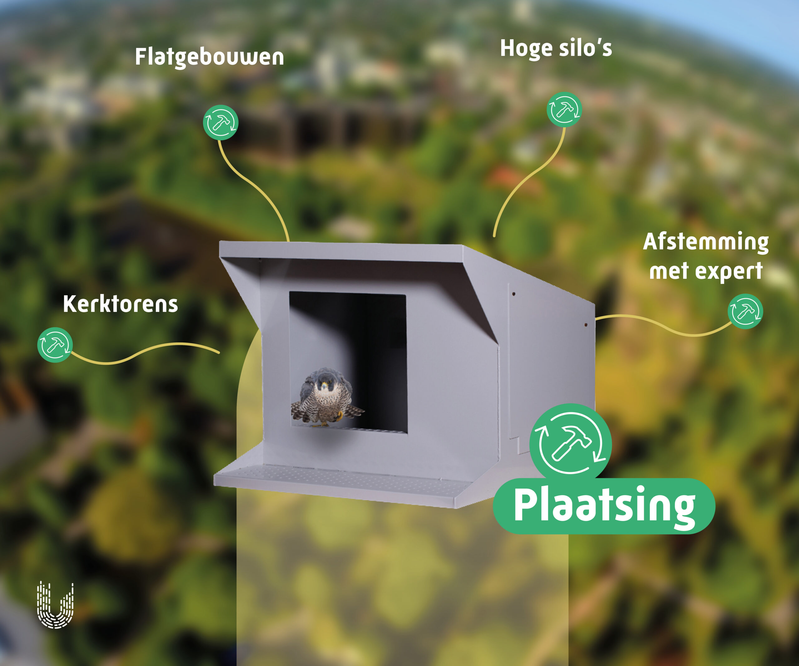 SVLP1 | Slechtvalkkast
