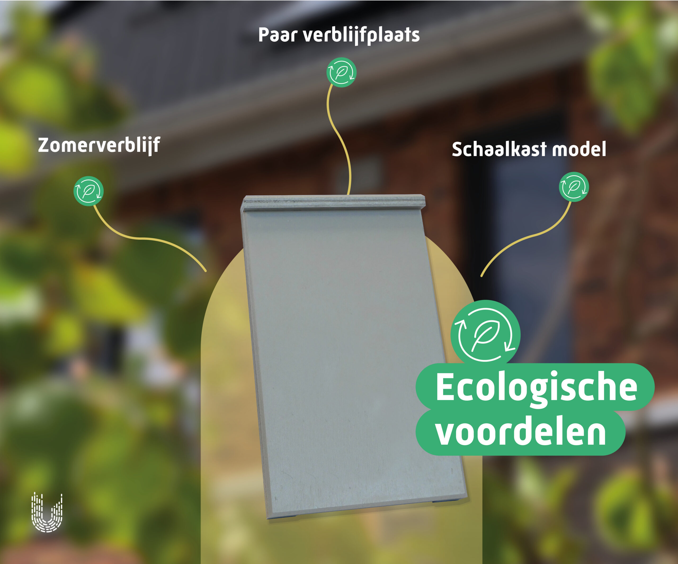 VMT1 | Vleermuiskast