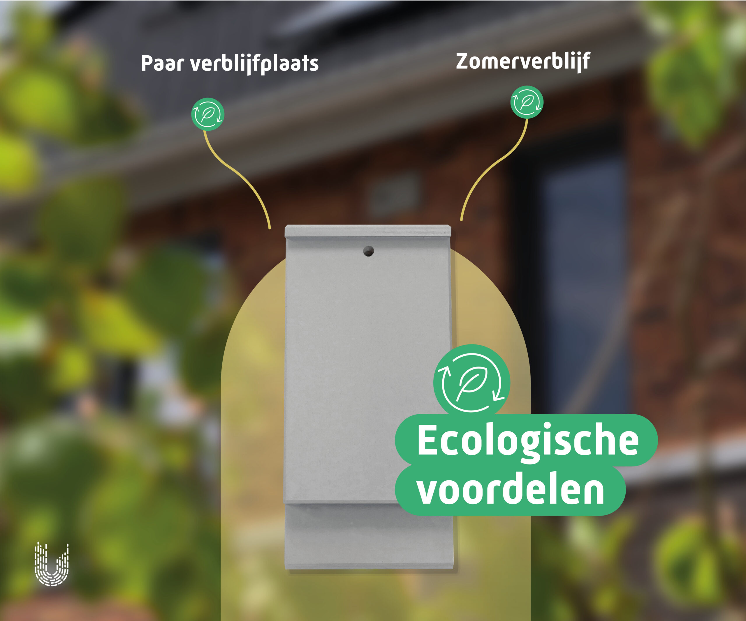 VMT1a | Vleermuiskast